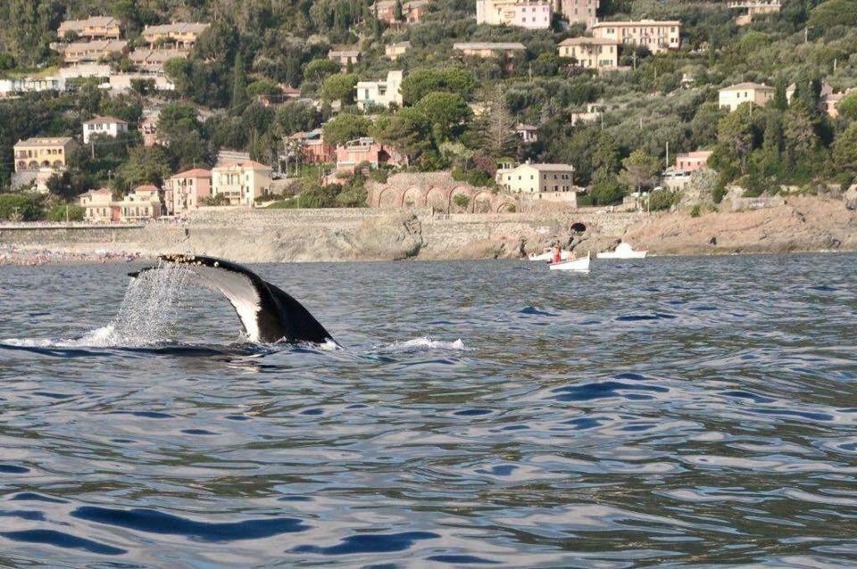 Casa Vacanza Angela Villa Bonassola Kültér fotó